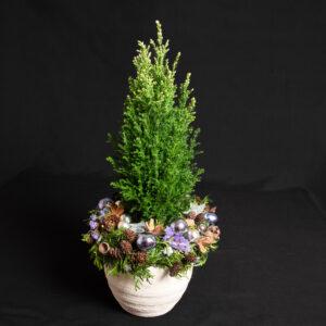 Deko-Beemchen mat Liichterketten | N°71